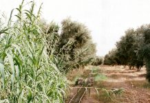 AMENAGEMENT DES PISTES RURALES